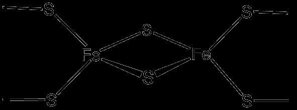 [2Fe-2S] and [4Fe-4S] - In [2Fe-2S] cluster, two iron ions are bridged between two sulfide ions and each iron ion is further coordinated to either two