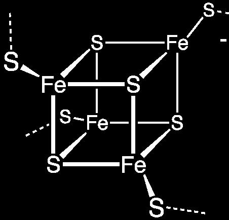 cube-like structure and each iron ions is further coordinated to a CYS or HIS to adopt a tetrahedral geometry - By virtue of the ability of iron to