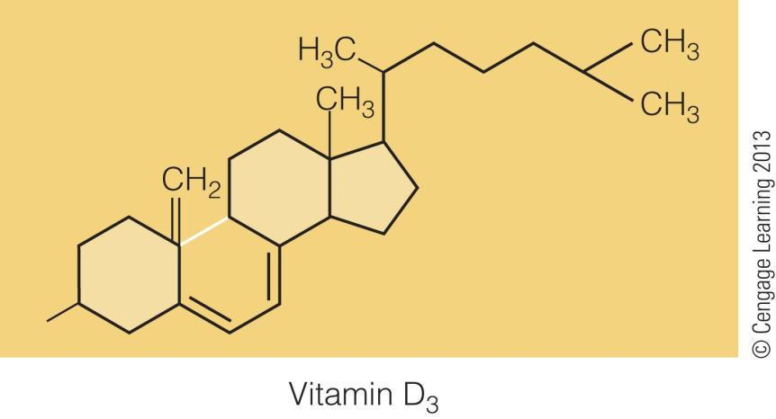hormones Adrenal hormones Vitamin D Cholesterol can