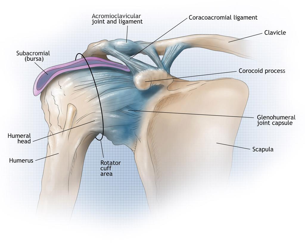 ADHESIVE CAPSULITIS (FROZEN SHOULDER) Frozen shoulder, or adhesive capsulitis is a condition that generally begins with the gradual onset of pain followed by a limitation of shoulder motion.