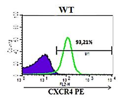 The increased expression of CXCR4 at the single cell level of DP cells in N3-IC Tg mice compared to WT suggests that over-expression of Notch3 deregulates CXCR4 in opposite fashion in the two cell