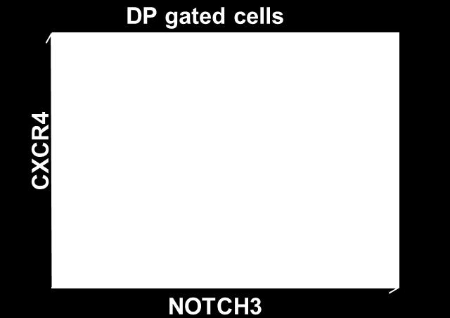 DP T-cells (1x10 6 ) obtained from both models were stained using anti-cd4 PerCP Cy5.