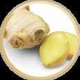 REF 2008 Tube 40 g ginger Not available in Canada Prophylaxis With fluoride,