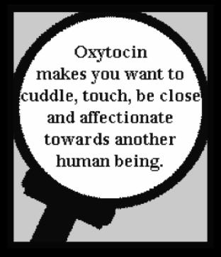 Maintenance Of Relationships! 23 Oxytocin negates fear, induces trust?