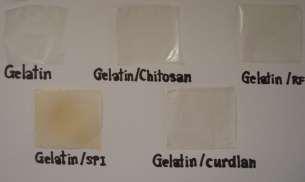 Mechanical properties of films from gelatin added with and without different hydrocolloids at various ratios are shown in Fig. 2.