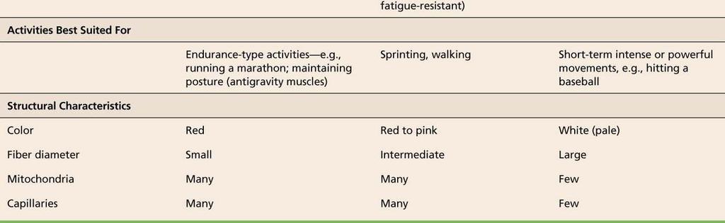 Aerobic exercise 1) Increased blood supply, mitochondria, myoglobin 2) Not
