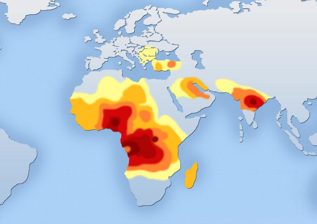 A clue to the reasons can be found by looking at the distribution of the sickle cell allele on a world map, and comparing it to the distribution of P. falciparum; Both are found in the same regions.