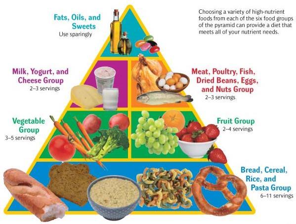 The Food Guide Pyramid Food Guide Pyramid