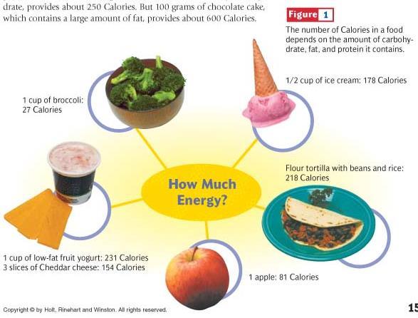 Food Has Fuel for Your Body Metabolism: the sum of the chemical processes that take place in your body to keep you alive and active; o requires energy and nutrients (carbohydrates, fats, proteins