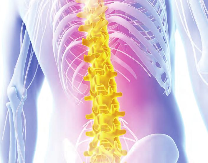 Treatment of the Lumbar Spine New York City Provided by HOSPITAL FOR