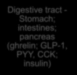 Digestive tract -