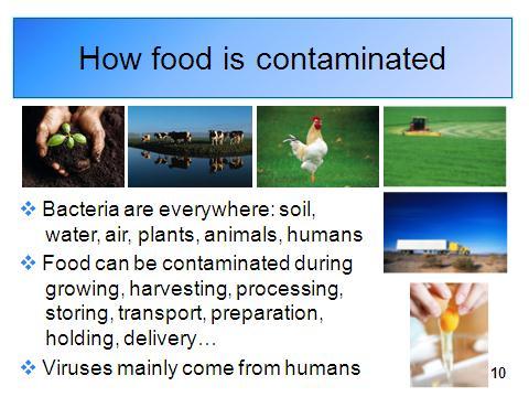 d. Where harmful bacteria and viruses come from i. The food supply has changed The food supply in the U.S. is one of the safest in the world.