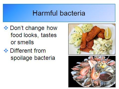 Most bacteria and viruses that cause foodborne illness go unnoticed because they don t change the way food looks, smells or tastes.