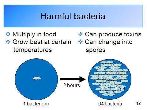 Bacteria that spoil food and change its smell, taste or texture are generally different from the bacteria that cause foodborne illness. Trainer: Go to slide 12.