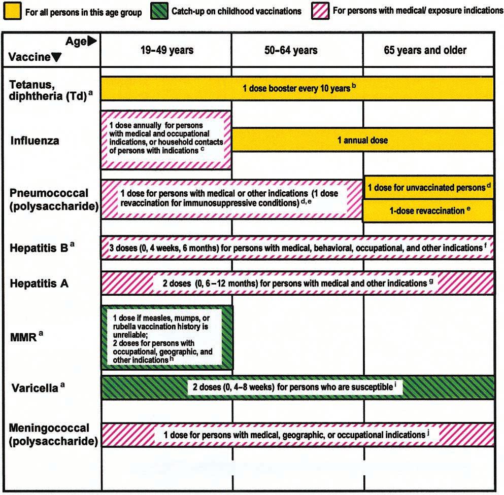 Figure 2. Recommended adult immunization schedule, United States, 2002.