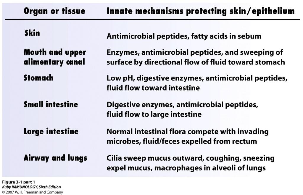 Antimicrobial peptide