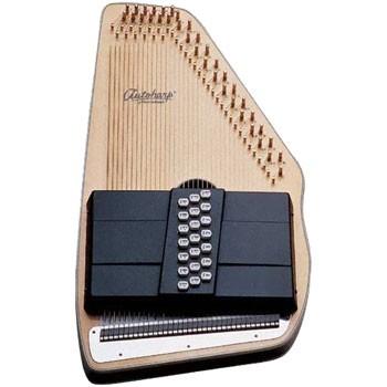 She played the guitar. She played the autoharp.