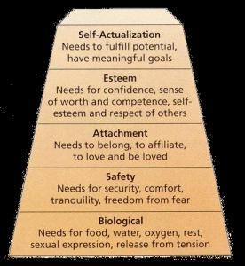 Maslow s Humanistic Theory Hierarchy of needs The notion that needs occur in priority order, with the biological needs as the most basic