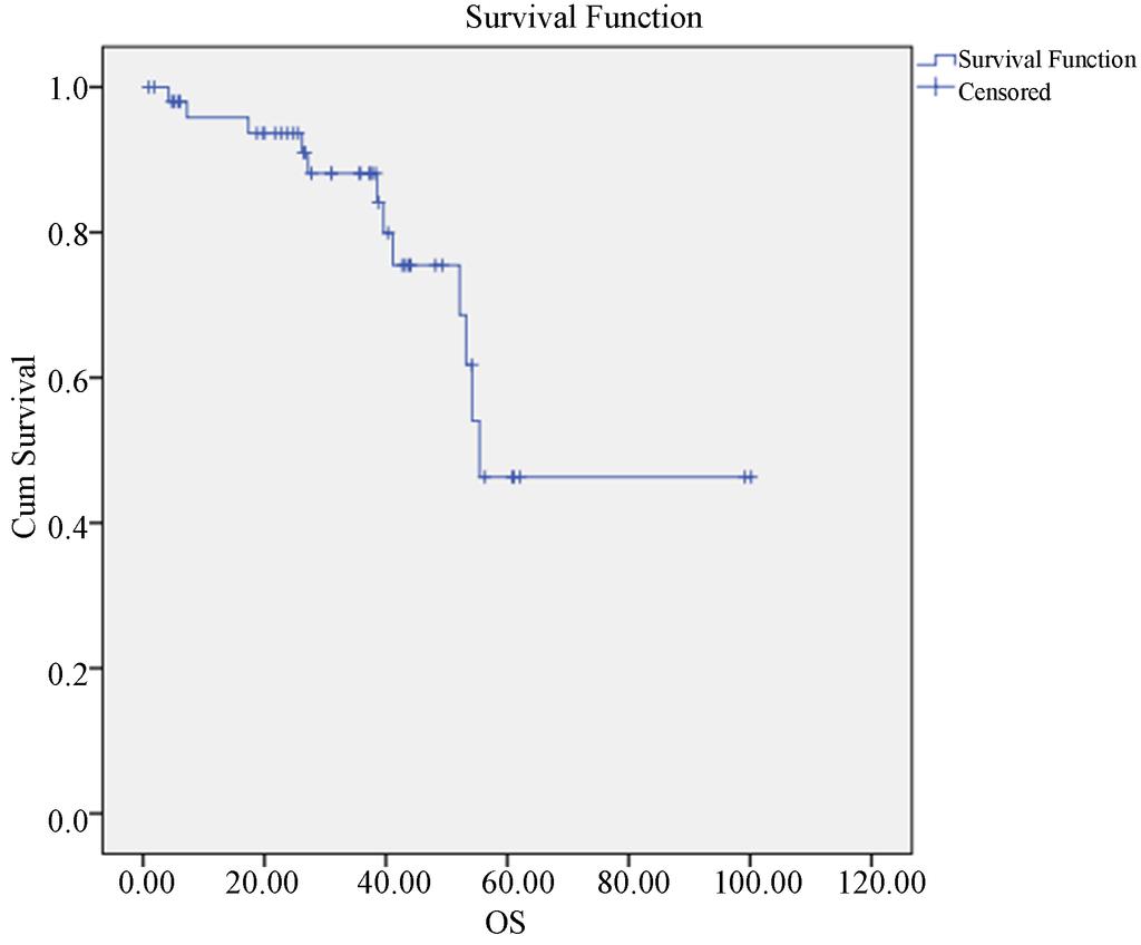 Figure 2. Overall survival for all cases. No statistically significant effect of age, tumor size or LDH level on OS, P = (0.084, 0.973, 0.89 respectively). 5.