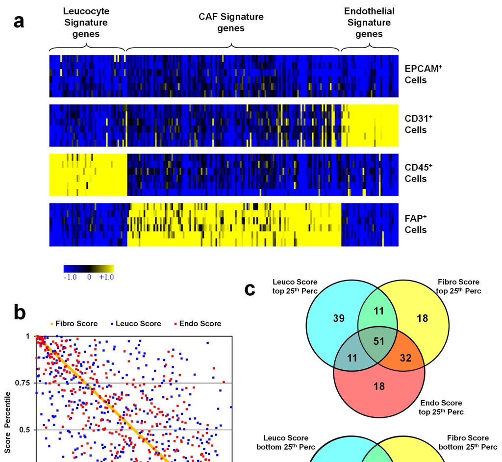 Supplementary Figure 9 Definition and characterization of three stromal signatures. (a) Expression heat map of the three stromal signatures in sorted CRC cell subpopulations.