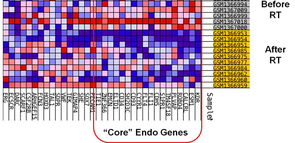 Supplementary Figure 10 Reduced expression of endothelial genes after radiotherapy of rectal cancer.