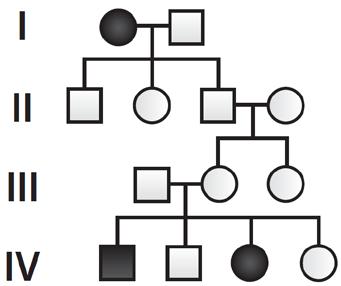 7. The following pedigree traces sickle cell disease through four generations of a family living in New York City. Use the pedigree to answer the following questions. a. What is the genotype of the mother in the first generation?