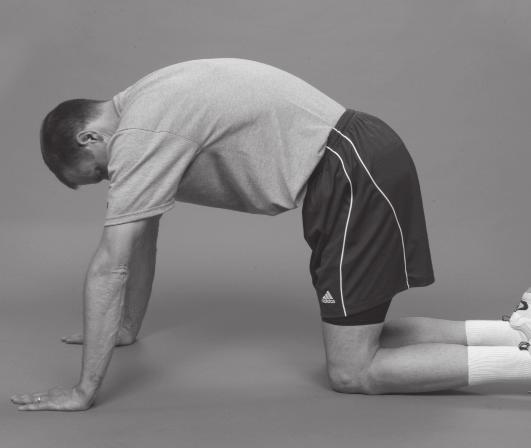 flatten back. Raise head and shoulders from the floor.