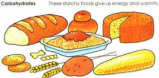 How humans consume or use food: Nutrients Carbohydrates Carbohydrates or starch give you energy.