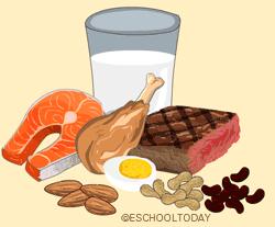 Protein helps your body fight disease. Most foods have some protein.