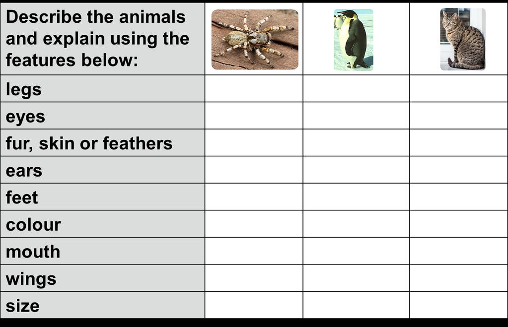 COMPARING ANIMALS (Lesson