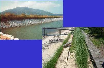 Some examples of Vetiver planting for erosion control and landscaping on beach and estuary around the world Left: China, Sea wall protected by vetiver - 100% salt water fish pond.
