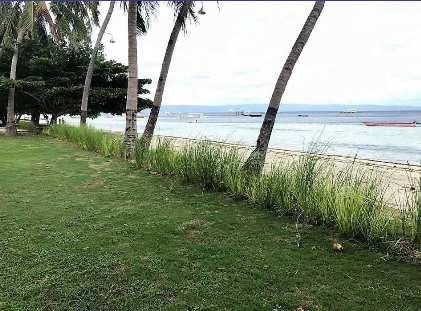 Philippines Vetiver planting to prevent sand