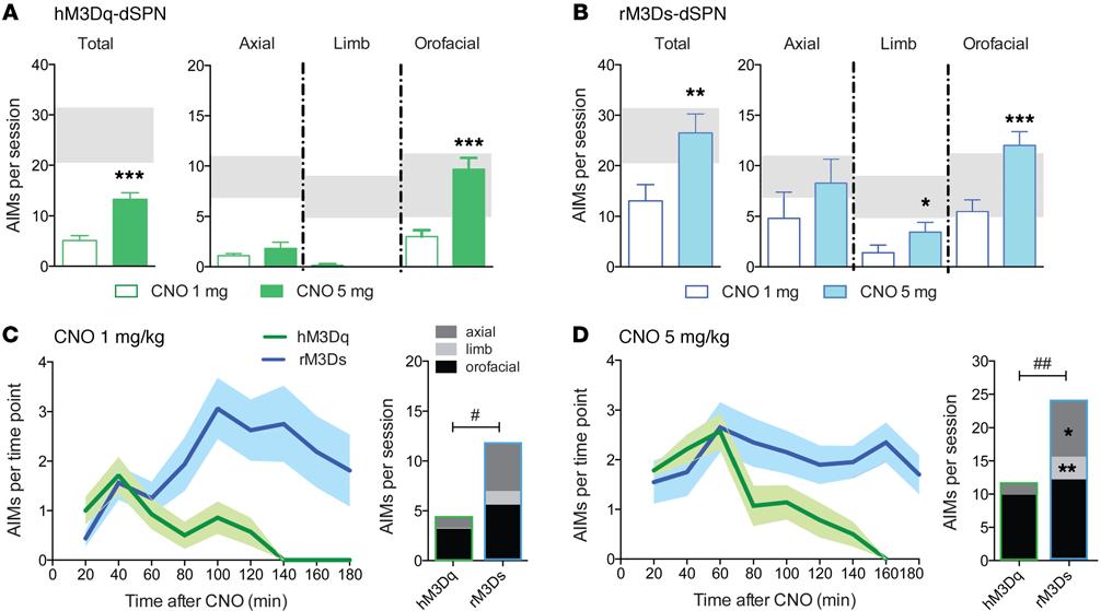RESEARCH ARTICLE Figure 6. Induction of dyskinetic behaviors by Gq- versus Gs-DREADD dependent activation of dspns in L-DOPA naive 6-OHDA lesioned mice.