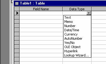 Bil Nama Ting Alamat Contoh field Rajah 2.4 3. Anda perlu menaip sendiri field name yang di kehendaki, selepas itu sila pilih data type.