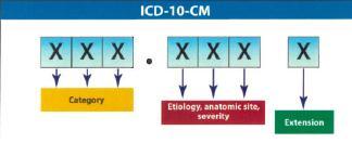 ICD-10-CM Diagnosis Code Structure