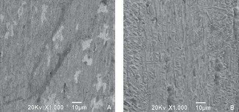 in vitro evaluation Figure 4- Scanning electron microscopy micrograph showing surface topography of TMA wire (associated with MB) before (A) and after (B) mechanical traction Figure 5- Scanning