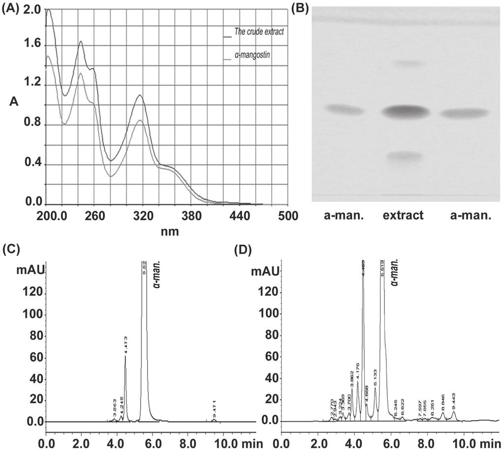 Results Determination of α-mangostin and total xanthones The UV spectra of α-mangostin and the xanthone extract were collected in the wavelength range of 500-200 nm (Figure 1a).
