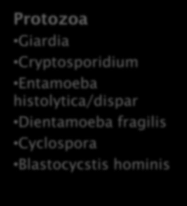 Trichuris Hookworm Strongyloides Schistosoma Fasciola Taenia Enteric protozoa affect millions of people each year