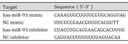 www.karger.com/cpb 958 Table 1. Sequence of interferents Transfection with mir-93 mimic and inhibitor 5 10 5 of 50 nmol/l according to the manufacturer s protocol.