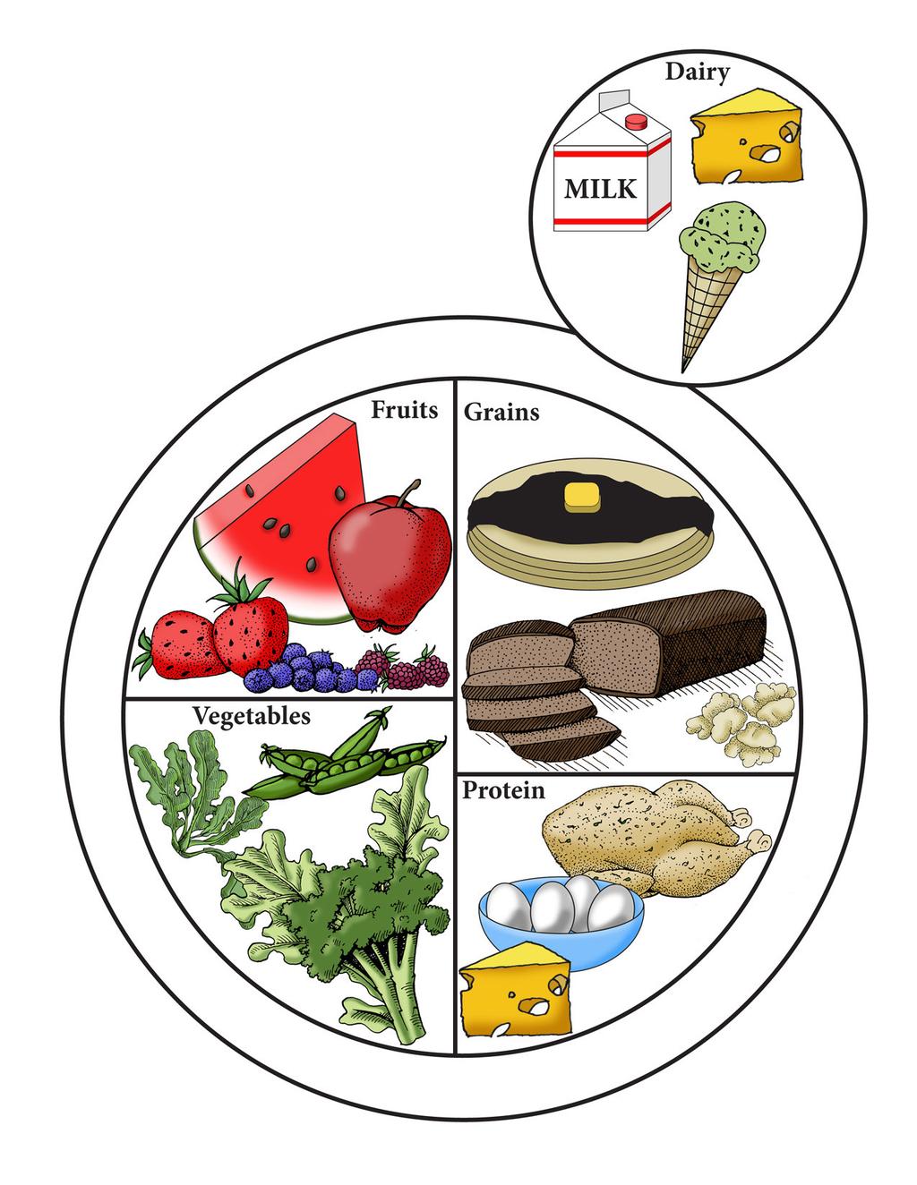 Nutrition - What Should We Eat?