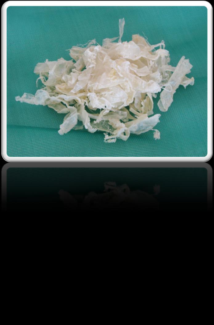 CHITOSAN PODUCTION - INTODUCTION is a deacetylated derivative of chitin. It is polysaccharide found in nature with an amino group, contained in the shells of Crustacea such as crab, shrimp, etc.