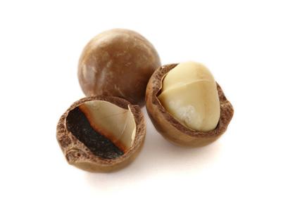 Nuts Delivering a balance of quality protein and healthy fats, nuts are better digested