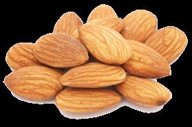 Brazil nuts Cashews Filberts Almonds Hazelnuts Pecans Pine nuts Pistachio Walnuts
