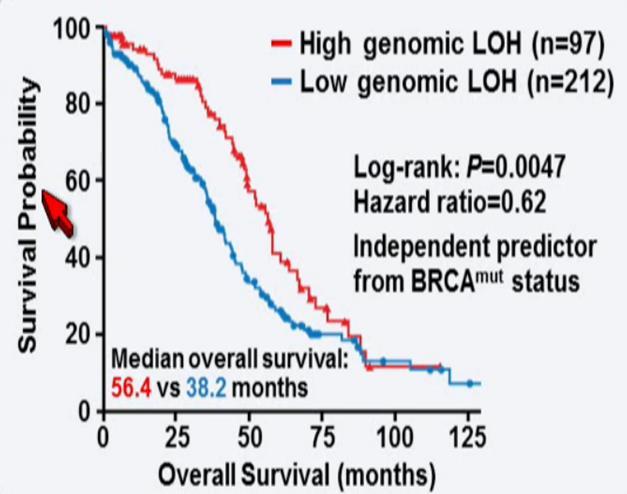 that can be measured by NGS TCGA and AOCS developed LOH cutoff based on overall survival to