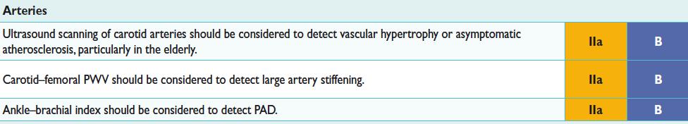 Search for asymptomatic organ damage - Arteries 2013