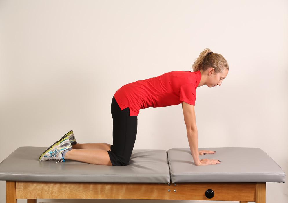 36 Quadruped Start this exercise on your hands and knees. Keep your core muscles tight so that your back is straight. Using your upper body for support and balance, lift one leg.