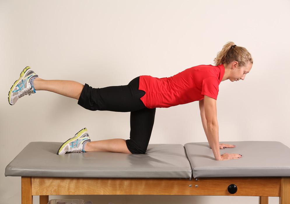 The start position can also be done on your elbows and knees to reduce back strain. Bridge progression: marching Lie on your back with your knees bent. Dig your heels into the surface for support.