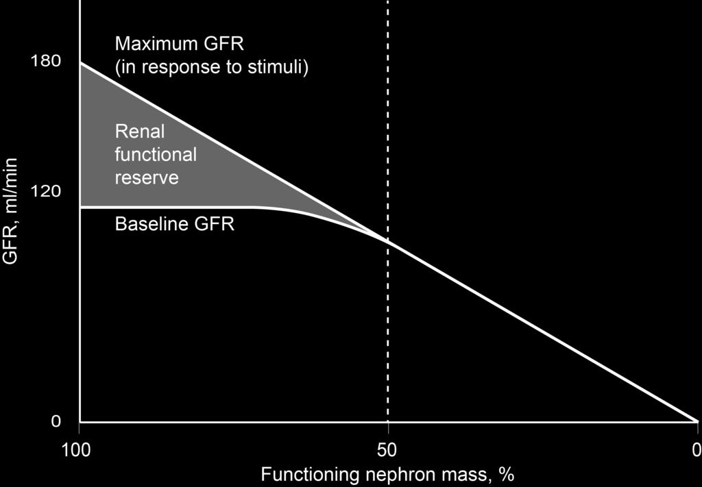 GFR levels can be sustained by renal functional reserve, even during kidney injury With sufficient renal functional reserve, up to 50% of nephrons can