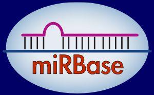 ncrna databases mirbase (http://microrna.