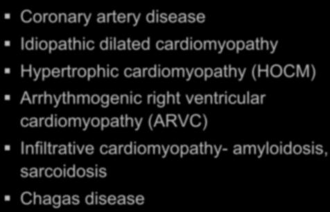 Real Time Intracardiac Ultrasound Coronary artery disease Idiopathic dilated cardiomyopathy Hypertrophic cardiomyopathy (HOCM) Arrhythmogenic